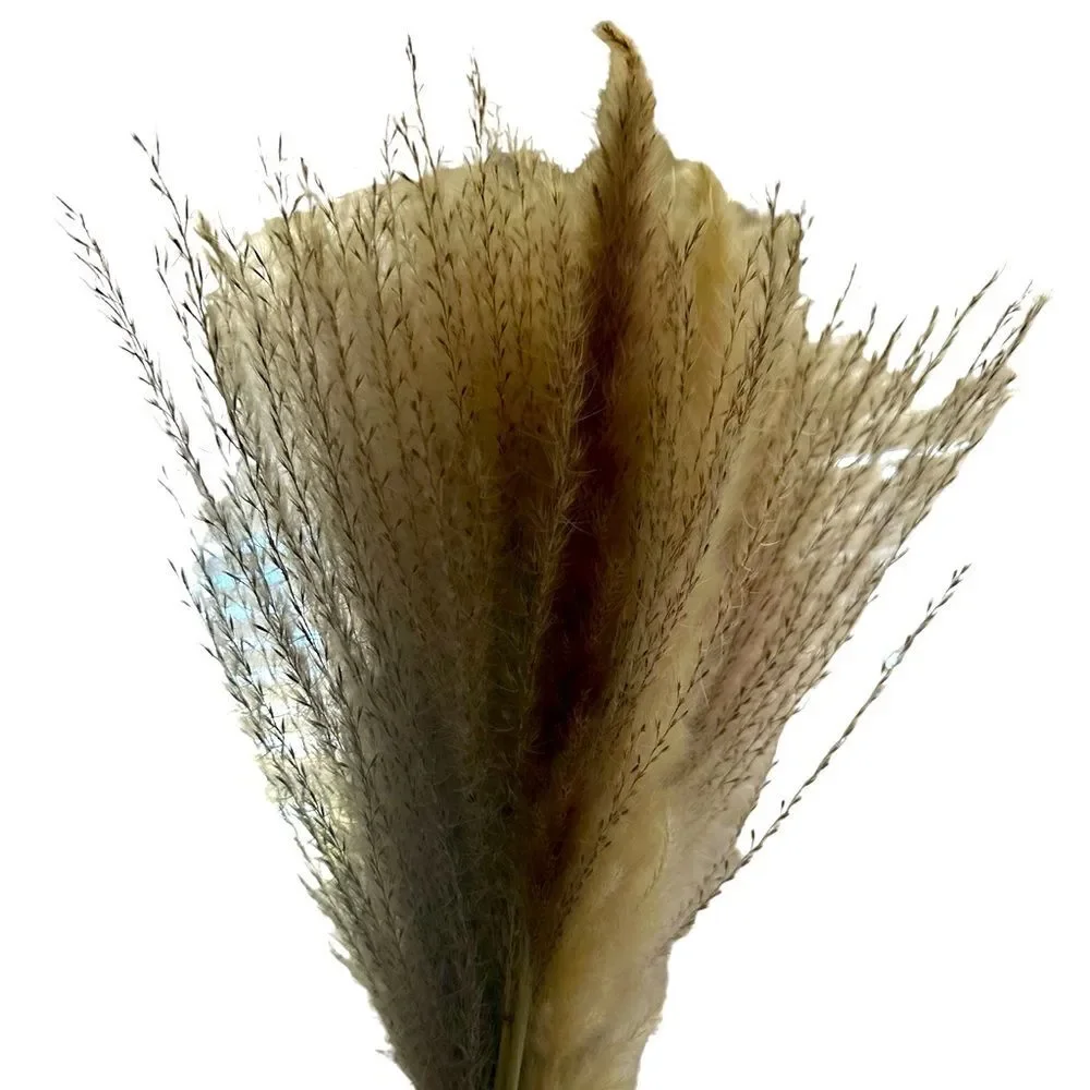 NIB Flora Bunda Pampas Grass in Blue Glass Vase